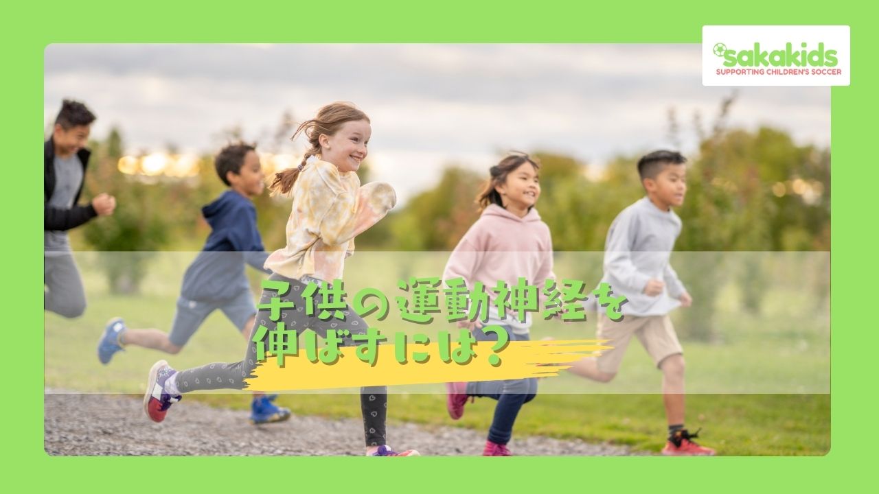 家庭で子供の運動神経を伸ばす方法をご紹介しています